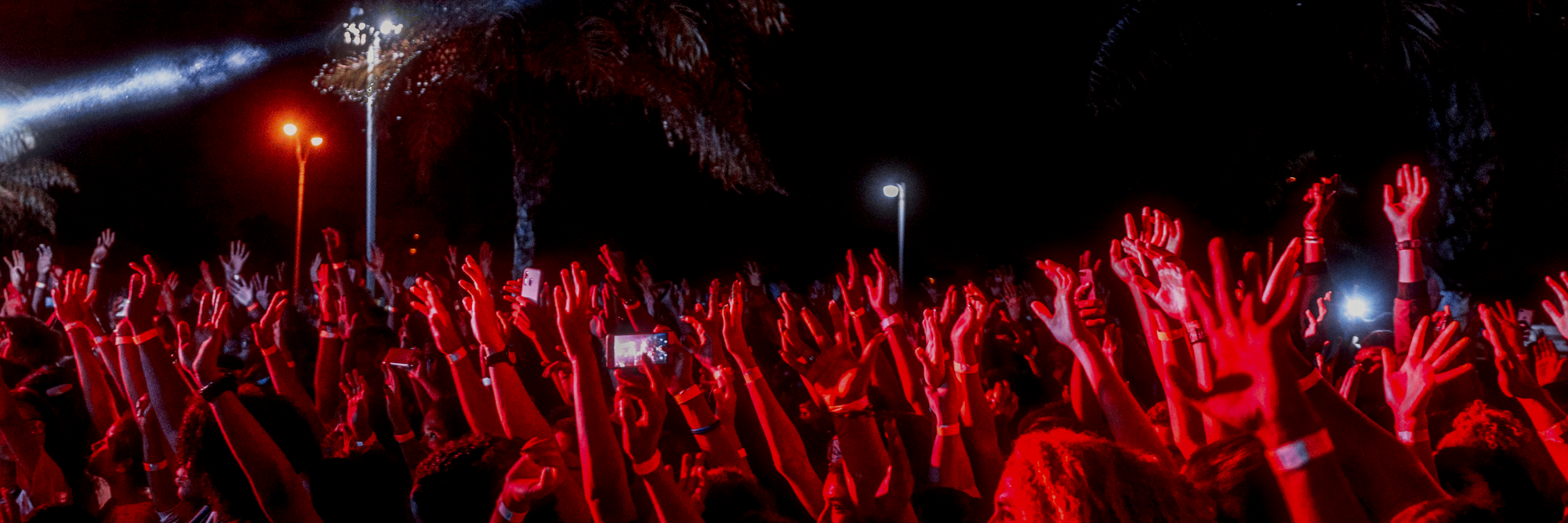 Red Alternativa Dominicana