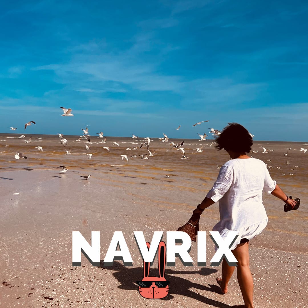 Navrix